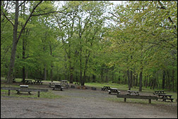 Nasaki Youth Tent Area 2 camping/picnic area