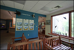 wildlife viewing room at the Nature Center