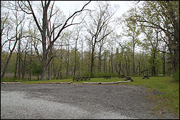 picnic area by North Orchard Shelter