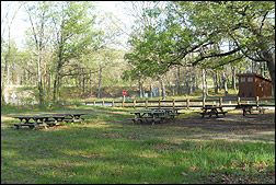 one picnic area near Southwest Shelter