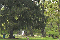 playground and picnic area at Tremont Shelter