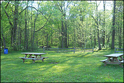 one of several picnic areas by Wilson Shelter