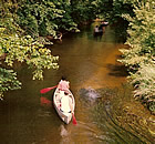 Pigeon River Outfitters Canoeing & Camping