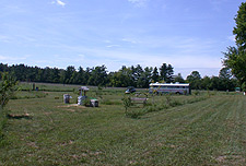 primitive & water/electric hookup campsites