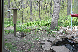 view from wildlife window at Nature Center