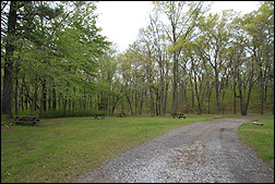 picnic area by North Orchard Shelter