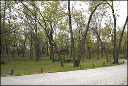 another portion of the huge picnic area by Southwest Shelter