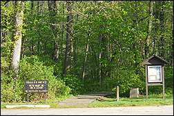 Trail 8 trailhead near Wilson Shelter