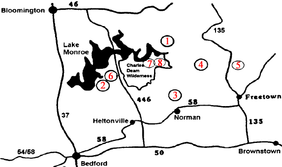 Hoosier national forest clearance hiking trails